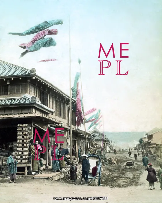 : Carp banners, Japan : Carp banners, Japan