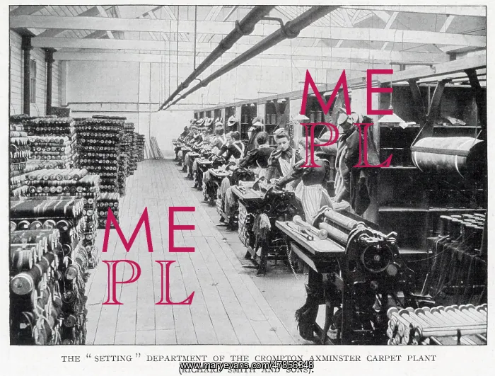 : Carpet manufacture : Carpet manufacture