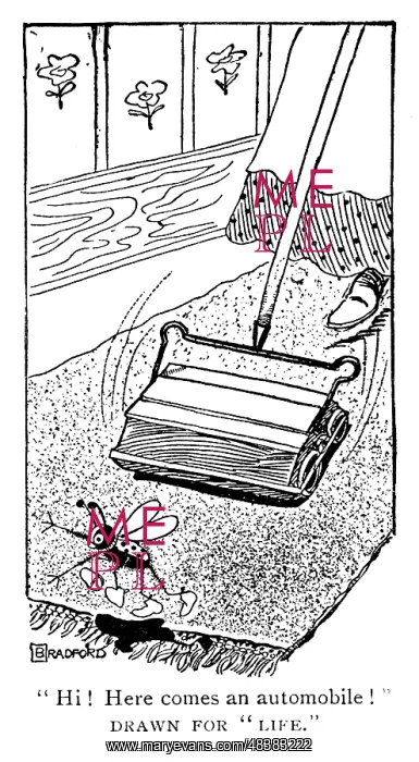 : Carpet sweeper or Bissell wrongly identified : Carpet sweeper or Bissell wrongly identified
