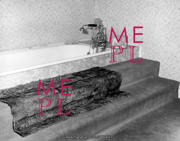 : CARPETED BATHROOM : CARPETED BATHROOM