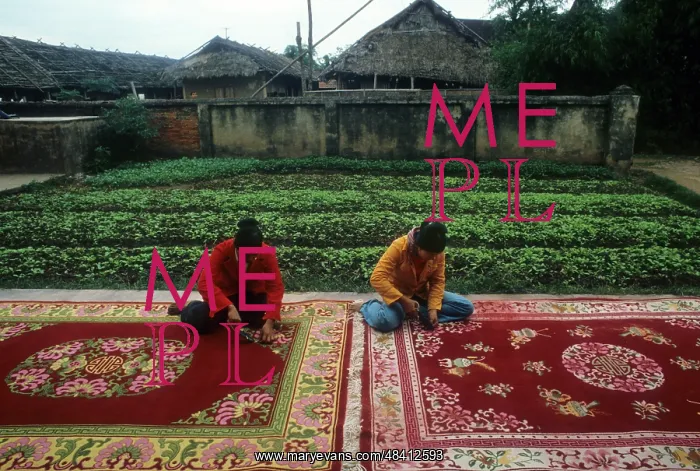 : Carpets production in Vietnam, 1983 : Carpets production in Vietnam, 1983