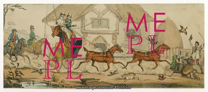 : Carriage Causes Chaos : Carriage Causes Chaos