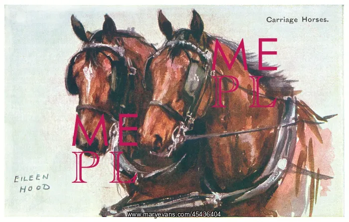 : Carriage Horses : Carriage Horses
