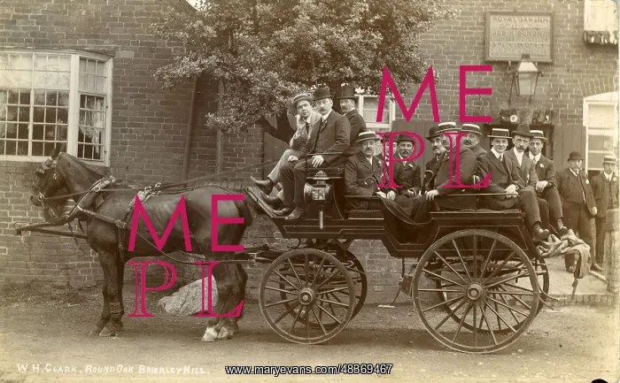  : Carriage and Horses