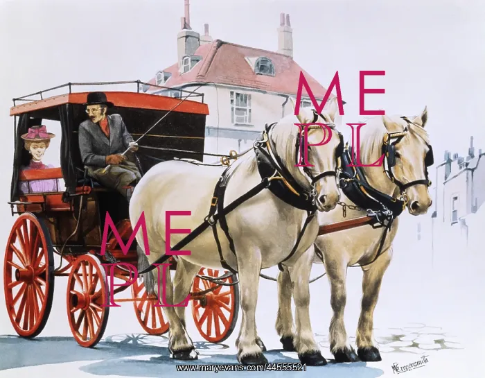 : Carriage pulled by two white shire horses : Carriage pulled by two white shire horses
