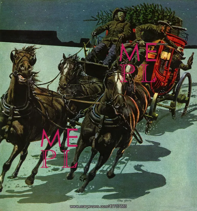 : Carriage in Snow : Carriage in Snow