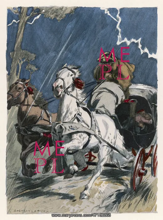 : CARRIAGE IN STORM : CARRIAGE IN STORM