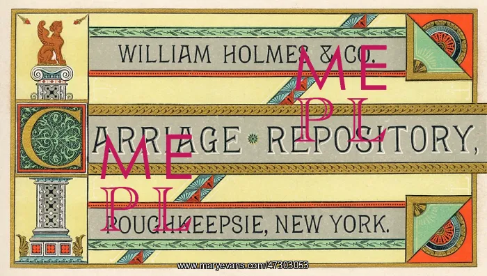 : CARRIAGE TRADE CARD : CARRIAGE TRADE CARD