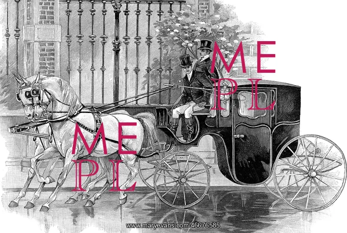 : carriages, bridal carriage, drawing by A. Ackermark : carriages, bridal carriage, drawing by A. Ackermark