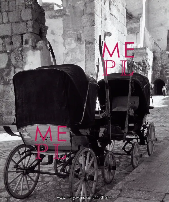 : Carriages on a street in Gaeta : Carriages on a street in Gaeta