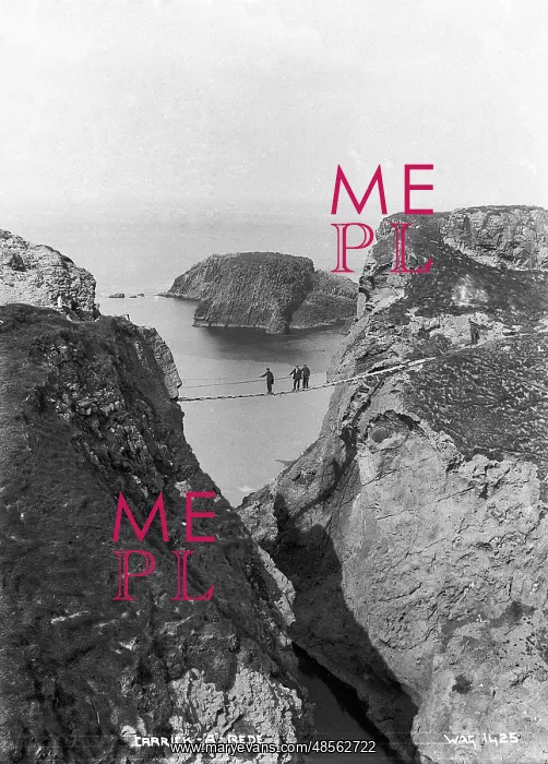 : Carrick-A-Rede : Carrick-A-Rede