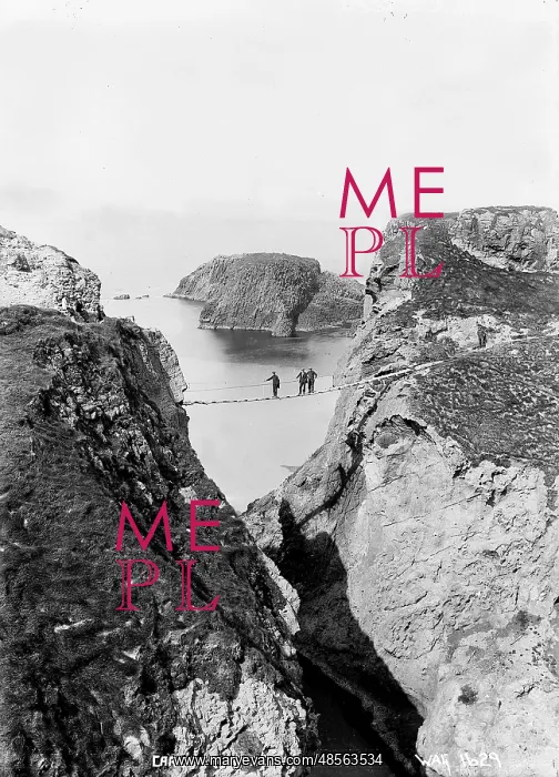 : Carrick-A-Rede : Carrick-A-Rede