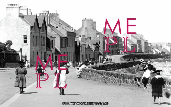 : Carrickfergus, the Promenade 1897 : Carrickfergus, the Promenade 1897