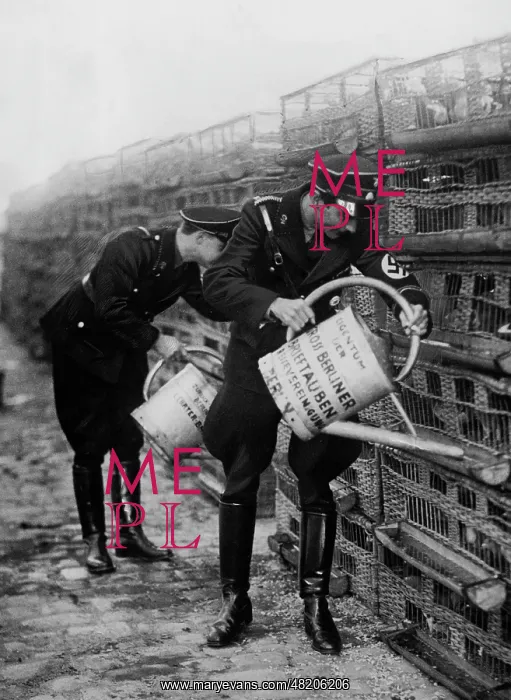 : Carrier pidgeons promotion for the SS, 1933 : Carrier pidgeons promotion for the SS, 1933