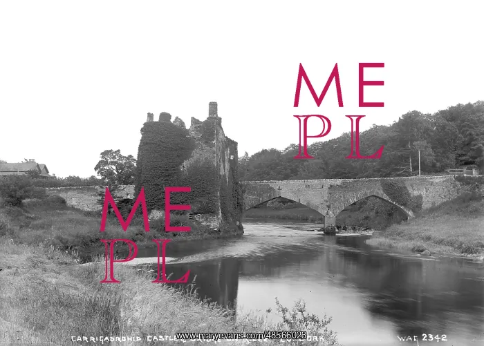 : Carrigadrohid Castle and Bridge on R. Lee, Co. Cork : Carrigadrohid Castle and Bridge on R. Lee, Co. Cork