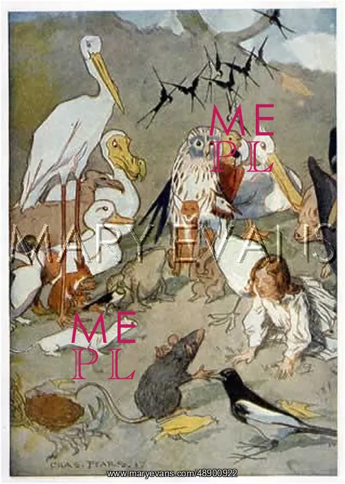: CARROLL / ALICE IN COURT : CARROLL / ALICE IN COURT
