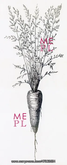  : Carrot with leaves