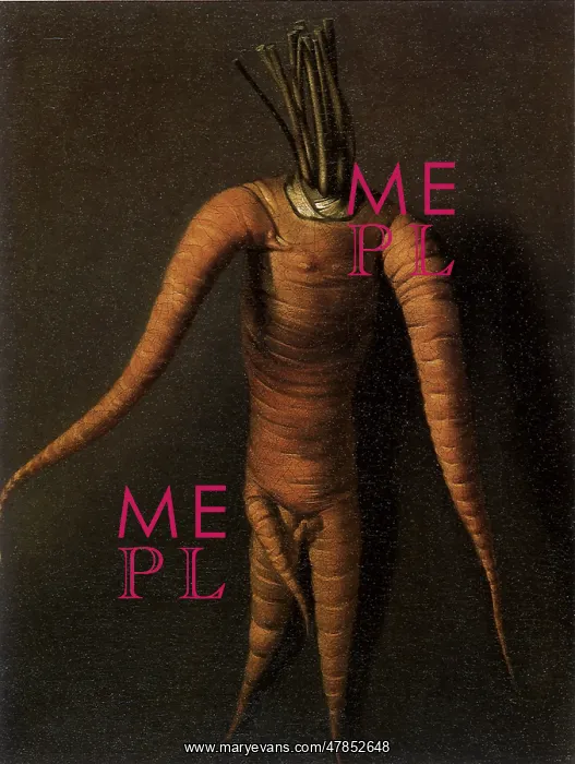  : The Carrot