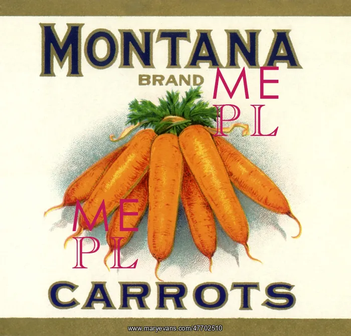  : Carrot Label