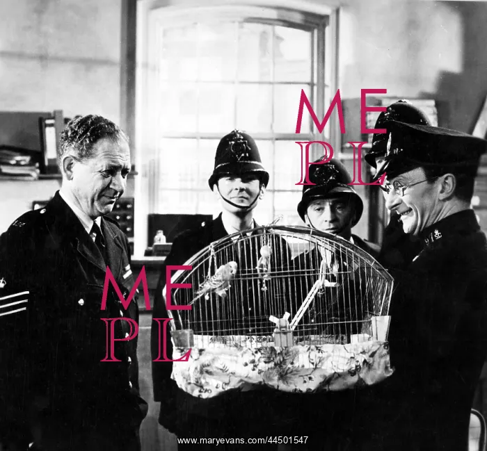 : Carry On Constable (1960) : Carry On Constable (1960)