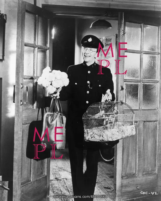 : CARRY ON CONSTABLE : CARRY ON CONSTABLE