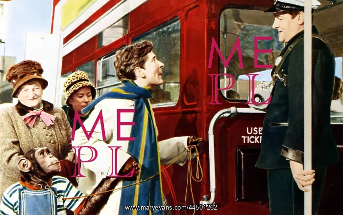 : Carry On Regardless (1961) : Carry On Regardless (1961)