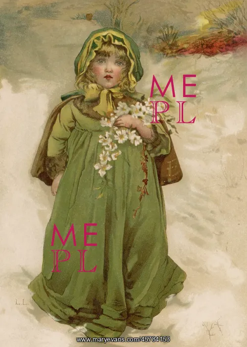  : CARRYING ROSES IN SNOW