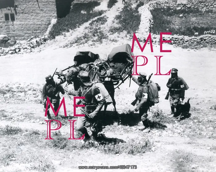 : Carrying the wounded by camel, Palestine, WW1 : Carrying the wounded by camel, Palestine, WW1