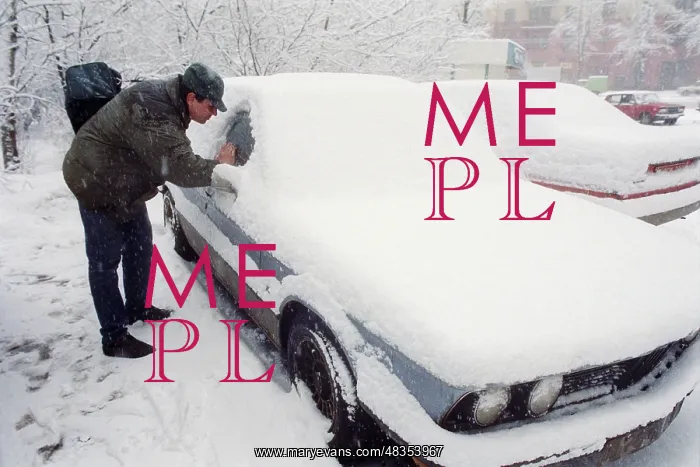 : Cars covered with snow, 1994 : Cars covered with snow, 1994
