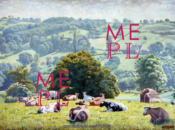 : Carsons Cows ' landscape with cattle : Carsons Cows ' landscape with cattle