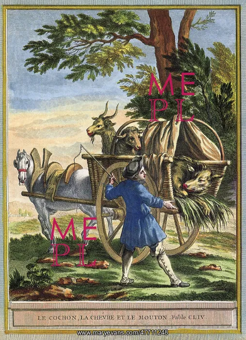  : Cart of Animals