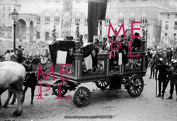: The cart with the Palio : The cart with the Palio