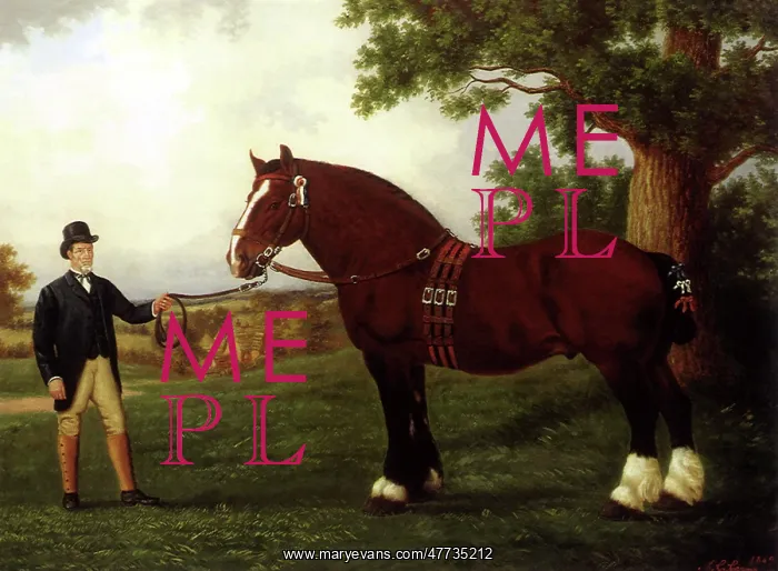  : Cart Stallion and Owner