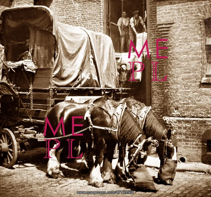  : Carters horses, London