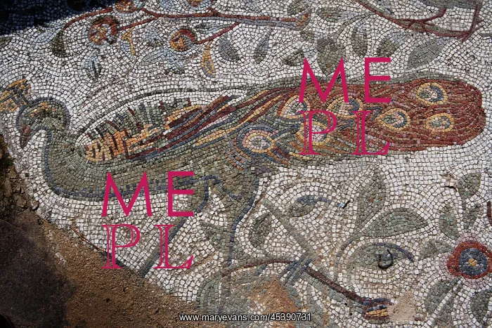  : Carthage. Detail of a mosaic depicting a peacock in the Villa of the Aviary