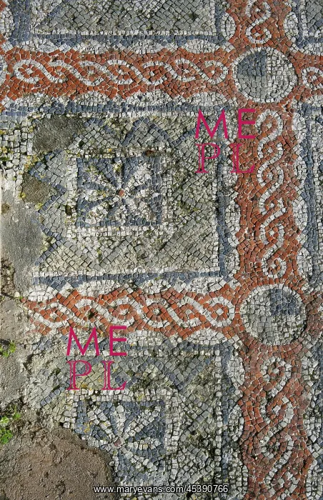 : Carthage. View from above of a mosaic in a Christian Basilica : Carthage. View from above of a mosaic in a Christian Basilica