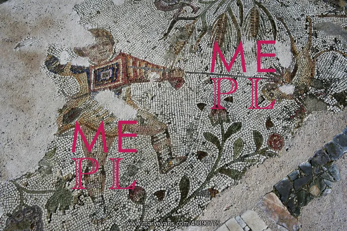 : Carthage. Detail of a mosaic depicting a boy playing with a bird in the : Carthage. Detail of a mosaic depicting a boy playing with a bird in the