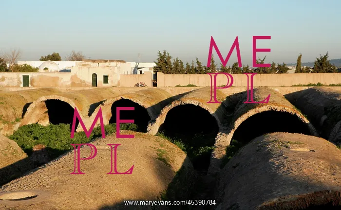 : Carthage. General view of the Roman cisterns : Carthage. General view of the Roman cisterns