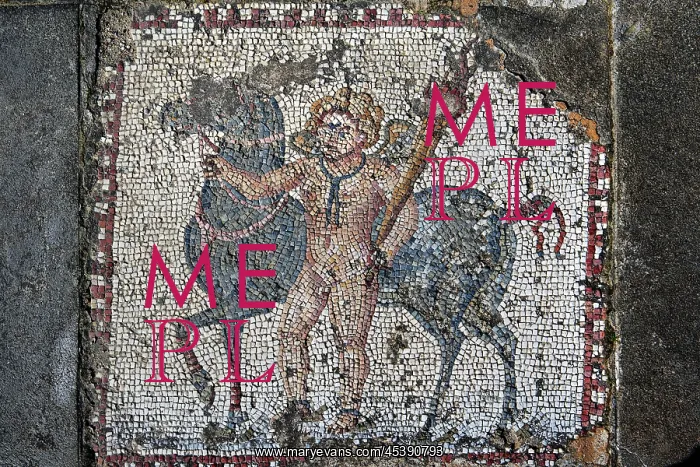  : Carthage. Detail of a mosaic depicting a boy with a torch holding a horse