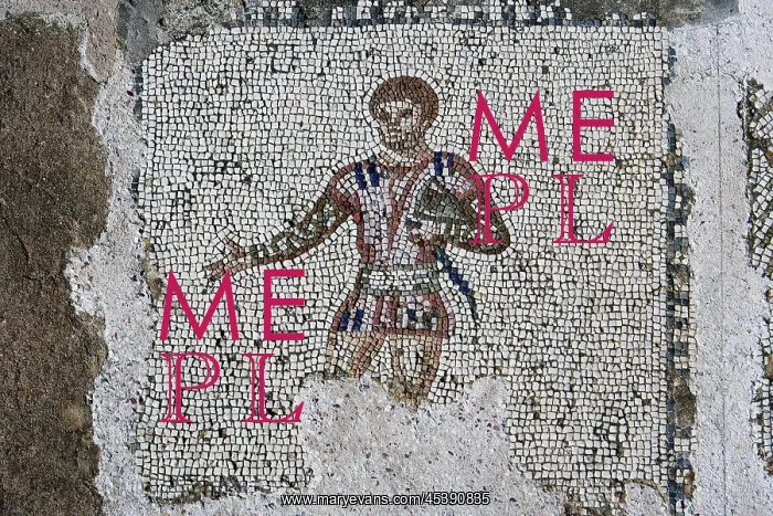 : Carthage. Detail of a mosaic depicting a man in the Villa of the Aviary : Carthage. Detail of a mosaic depicting a man in the Villa of the Aviary