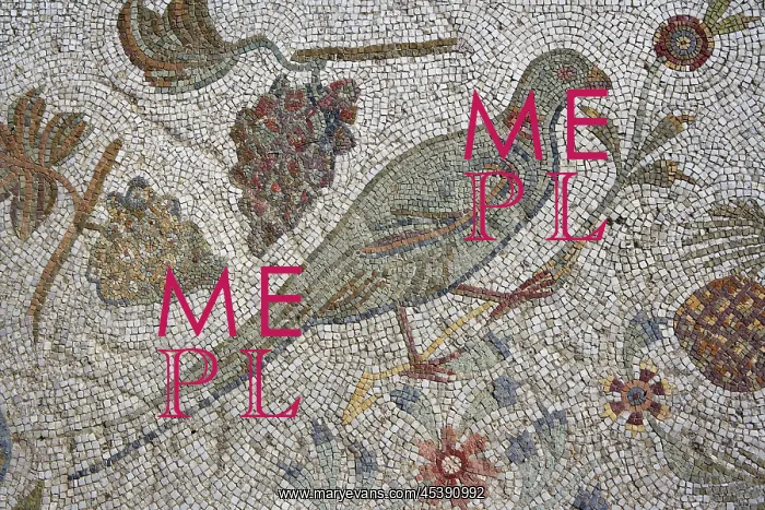 : Carthage. Detail of a mosaic depicting a bird in the Villa of the Aviary : Carthage. Detail of a mosaic depicting a bird in the Villa of the Aviary
