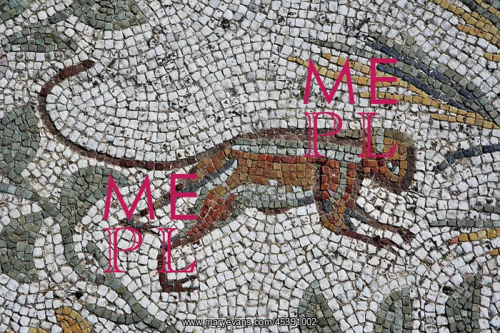 : Carthage. Detail of a mosaic of a monkey in the Villa of the Aviary : Carthage. Detail of a mosaic of a monkey in the Villa of the Aviary