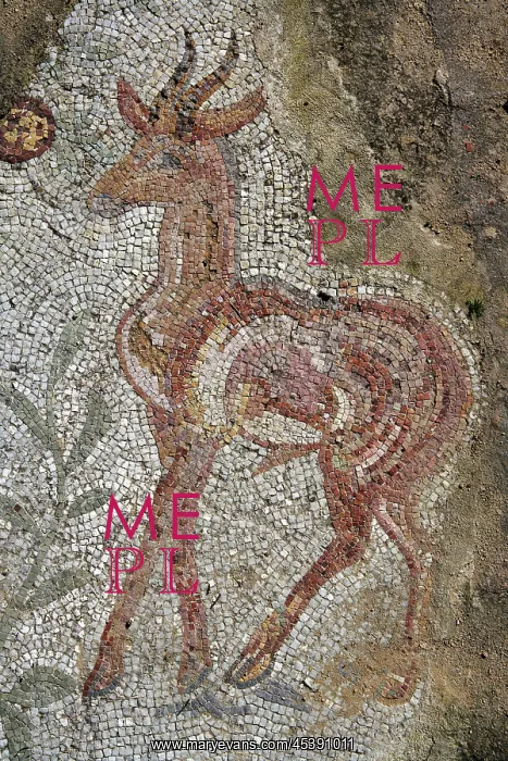 : Carthage. Detail of a mosaic depicting a deer in the Villa of the Aviary : Carthage. Detail of a mosaic depicting a deer in the Villa of the Aviary