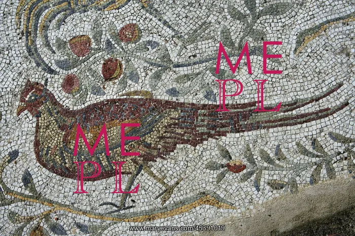 : Carthage. Detail of a mosaic depicting a pheasant in the Villa of the Aviary : Carthage. Detail of a mosaic depicting a pheasant in the Villa of the Aviary