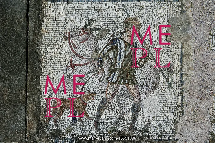 : Carthage. Detail of a mosaic depicting a horse : Carthage. Detail of a mosaic depicting a horse