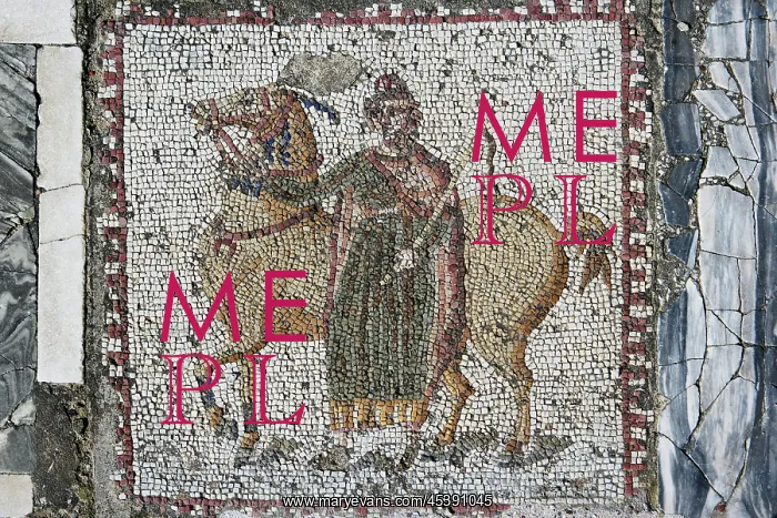 : Carthage. Detail of a mosaic depicting a horse : Carthage. Detail of a mosaic depicting a horse
