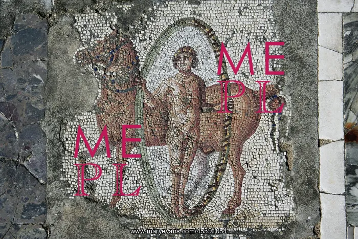 : Carthage. Detail of a mosaic depicting a man with a hoop : Carthage. Detail of a mosaic depicting a man with a hoop