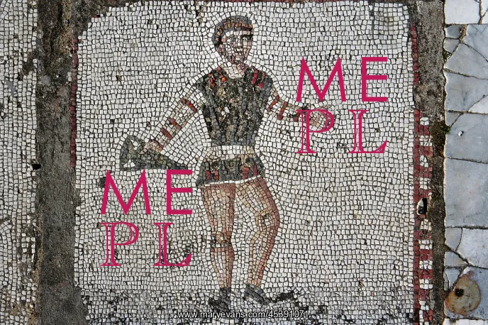 : Carthage. Detail of a mosaic of a man holding an amphora in the Villa of the Aviary : Carthage. Detail of a mosaic of a man holding an amphora in the Villa of the Aviary