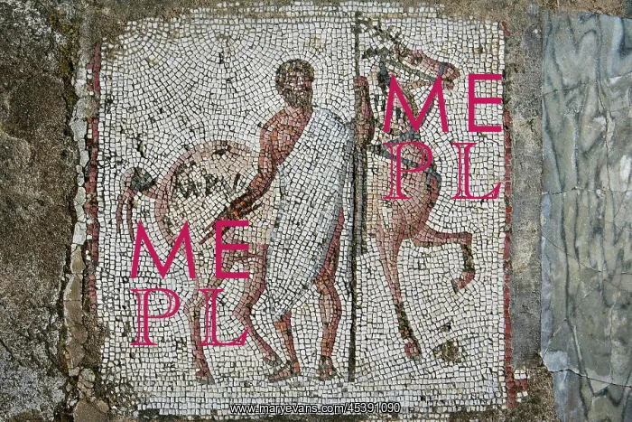: Carthage. Detail of a mosaic of a horse and rider in the Villa of the Aviary : Carthage. Detail of a mosaic of a horse and rider in the Villa of the Aviary