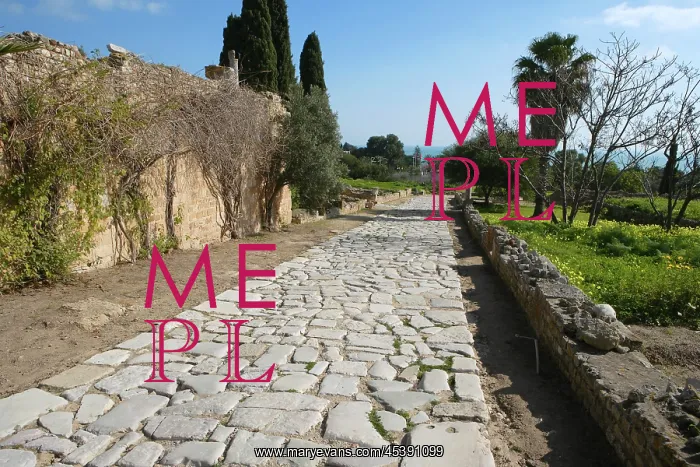  : Carthage. High angle view of the Decumanus below the Villa of the Aviary
